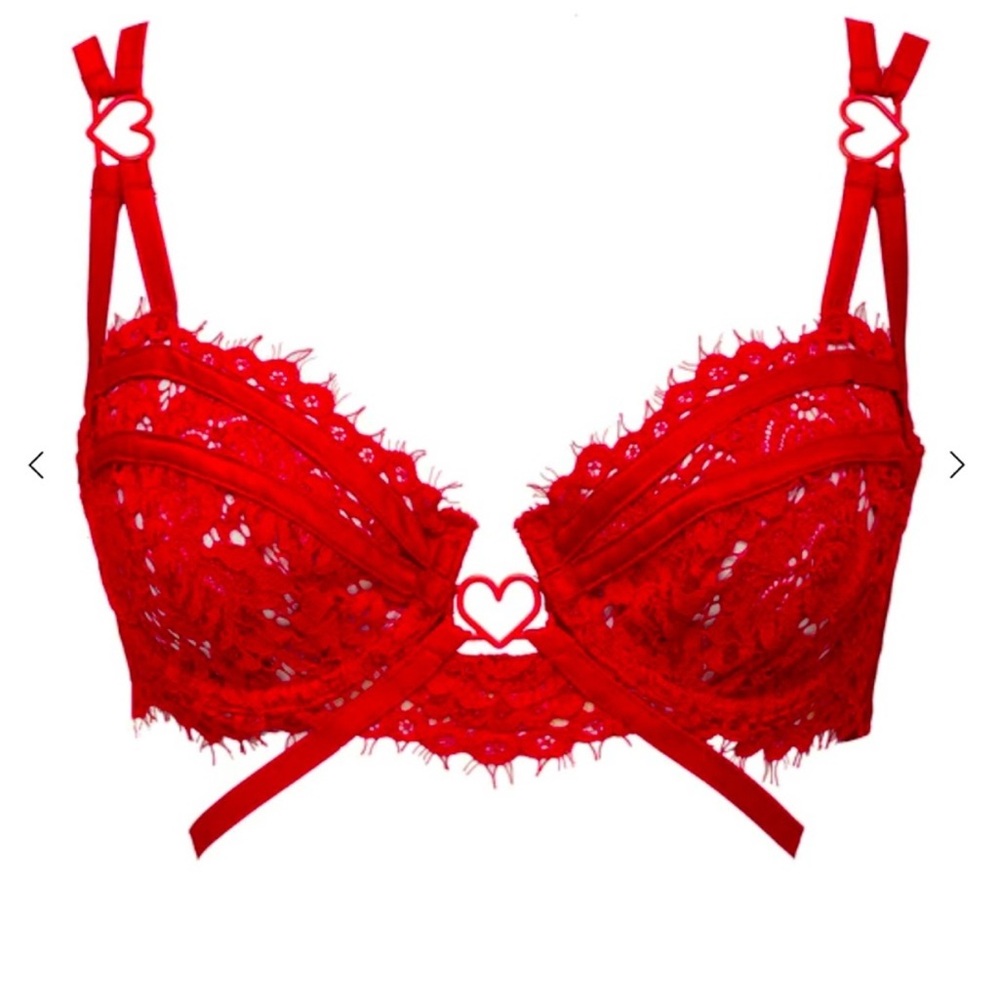 For Love and Lemons Rosa Heart Valentines lingerie bra